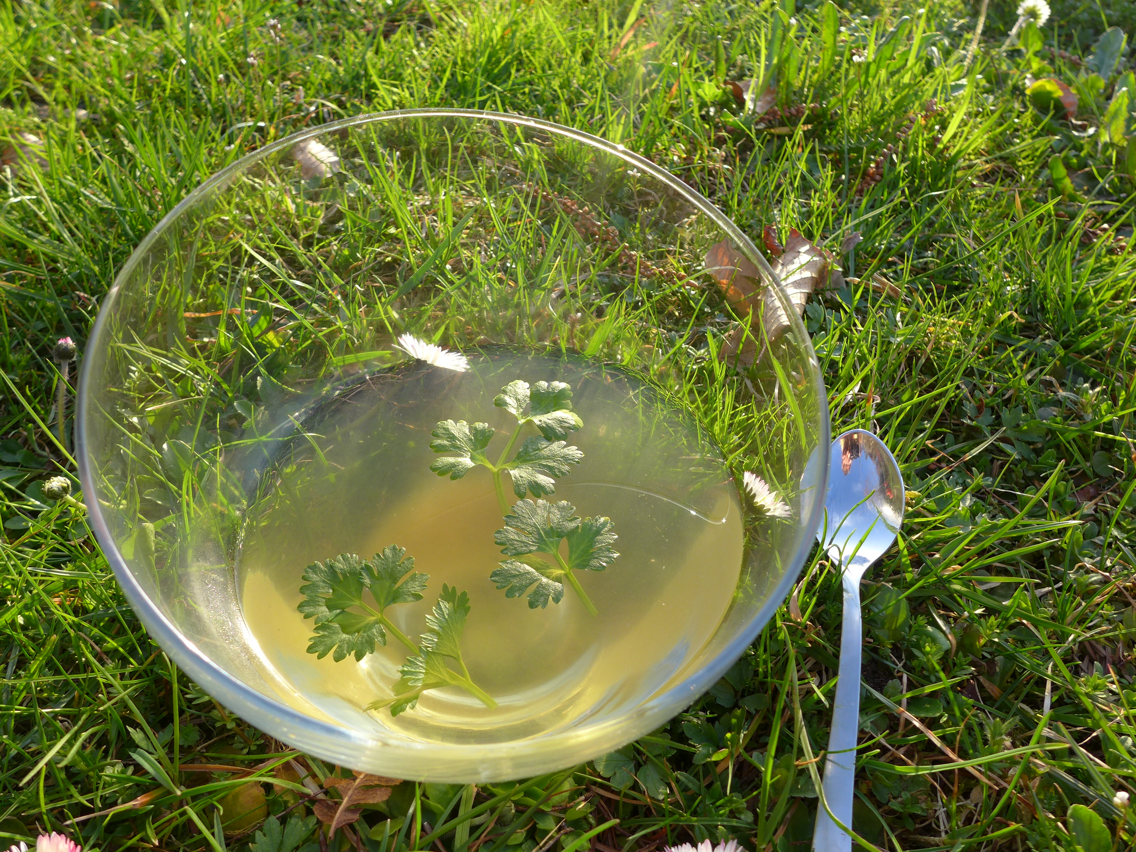 Fasten klare Suppe auf Wiese